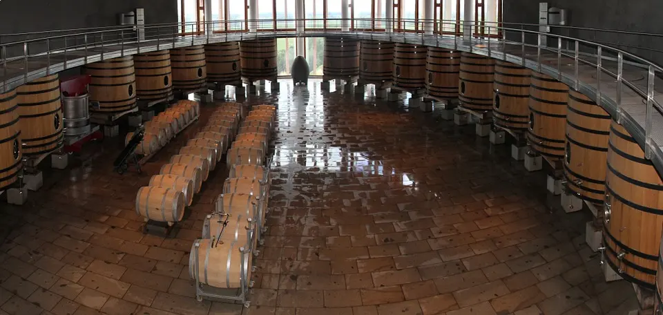 Wine cellar with oak barrels
